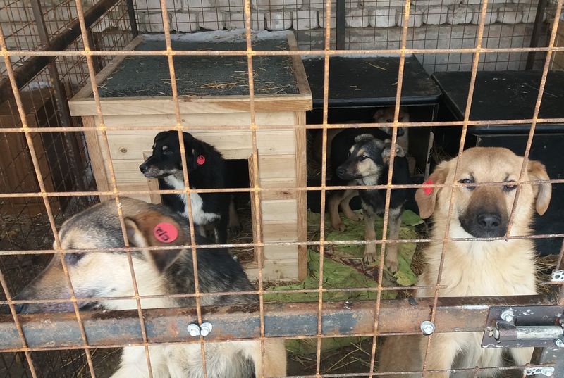 ���� �������? �������� ����� ����� ����� ����� ������������� �������� �������� - � ���� �� ���������� � ���������������