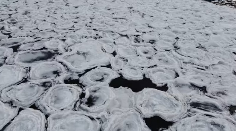 � ���������� ��� � ������ �������� ������ ����� ���������� ������� �������, ������� �� ����� �������. �����