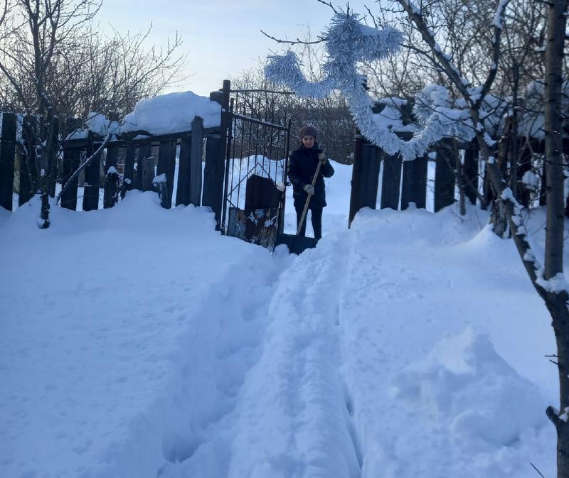 ��������� �������� ������������ �� ���� ��� �������� ����������� �����