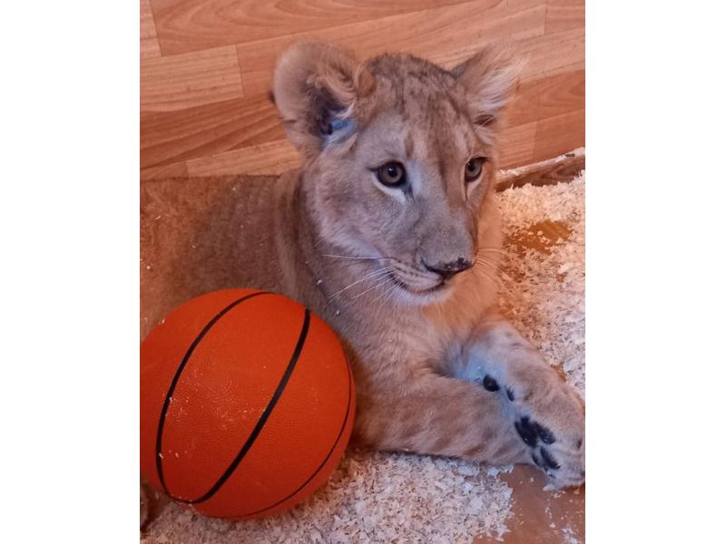 ��������� �� ������� �������� ������