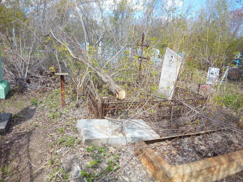 Спиленное на кладбище в Сызрани дерево «уронили» прямо на могилы, там его и оставили