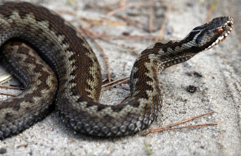 ������� ���������� � �� �����: ������� ������� ������������� � �������� ����� � ����