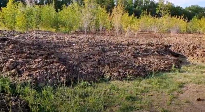 Так вот откуда так воняет! Под Сызранью нашли огромные кучи навоза и останки сельхоз животных