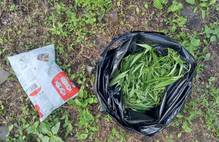 ����������� ��������� ������ ������������ ������ �������, �������������� � ������������