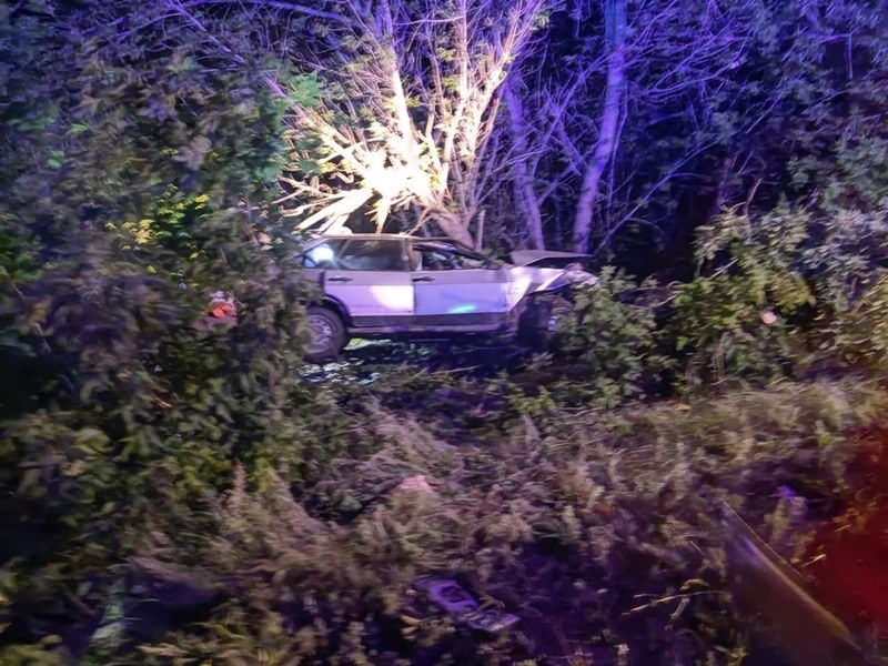 � ������ ����������, ��� ������� �������� ������� � ������ � �������� � ������