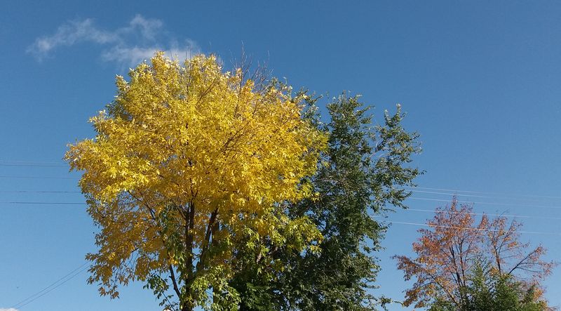 ���� ����� ��������, � ���������� ��������, � ��������� ������ �������� �� �����