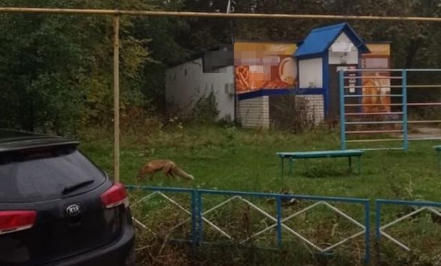 ������� �� ������ ������� ������ ����� ��������, ���������� ����� �� ������� ��������