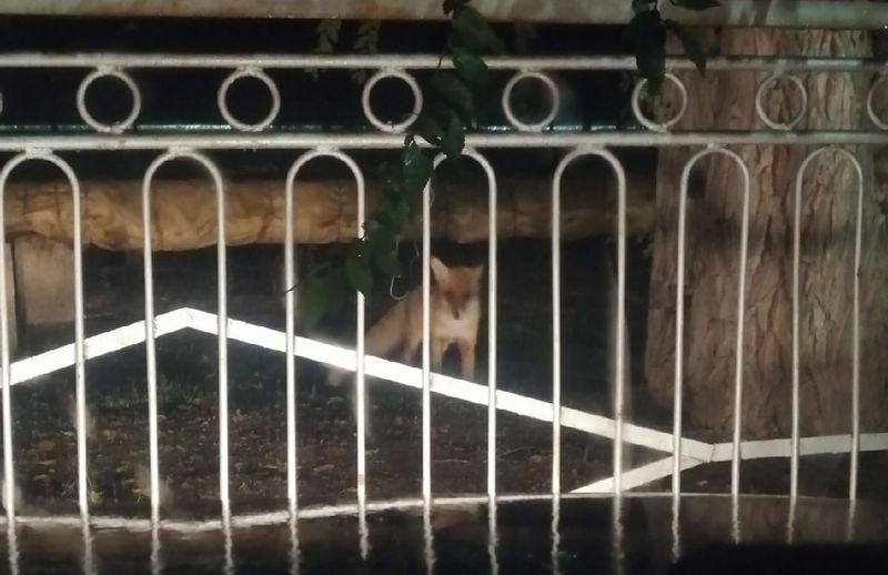 �������: � ��������������� ������ ������� ������� ����, � ���������� ������� ���� � �����