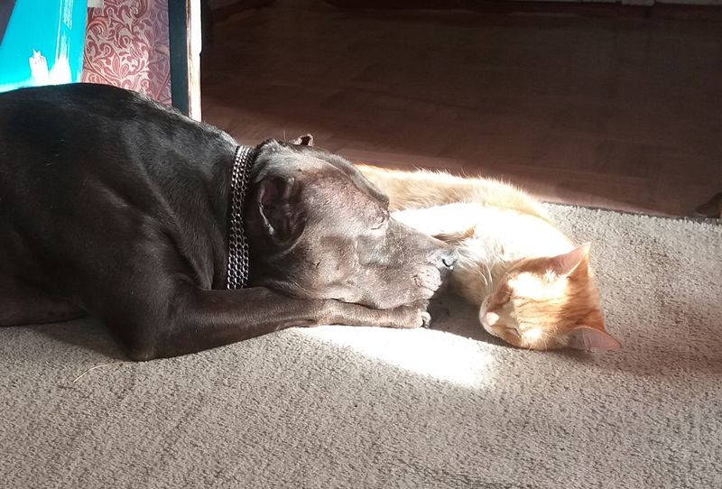 ������ ������� ������: � ���������� ����� ���� �� �������� ��������, ����������� ��������