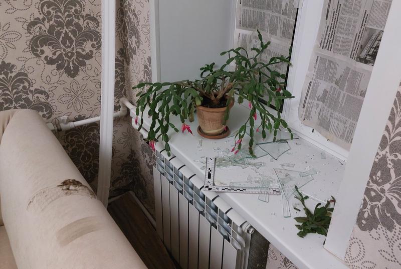 ������, ����������� �����������, ��������� �� ���� � �������