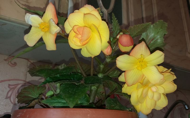 � ���� ������� ����������, ���� ������� �������� ��������� ��������, � ������ ����� ������� ������ �����