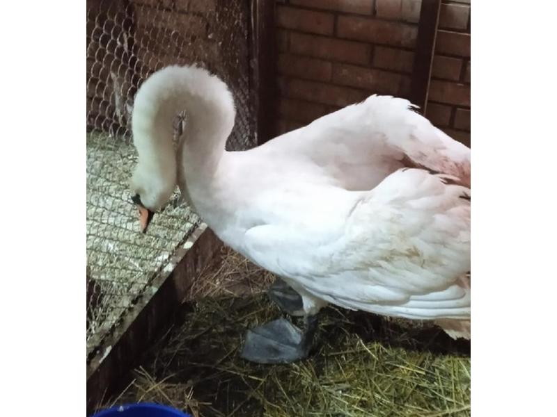 � ��������� ������� ���� ������ ��������� � ���� ������