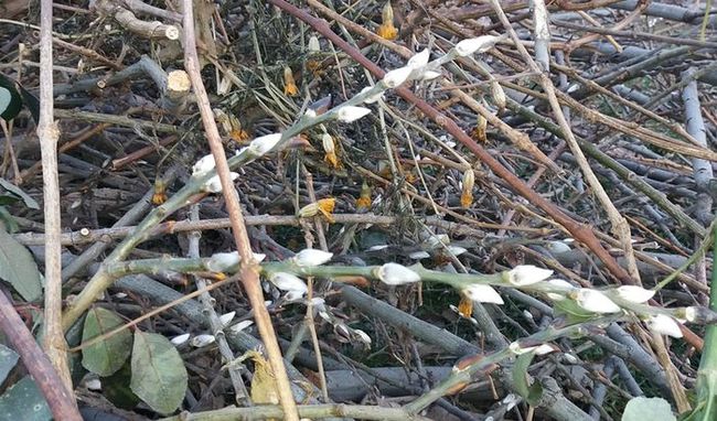 � �������� �� ������ ������������, �� � ���������� ������ �����, ������� ������� ��� �������� �� ����� ��� ������ �����