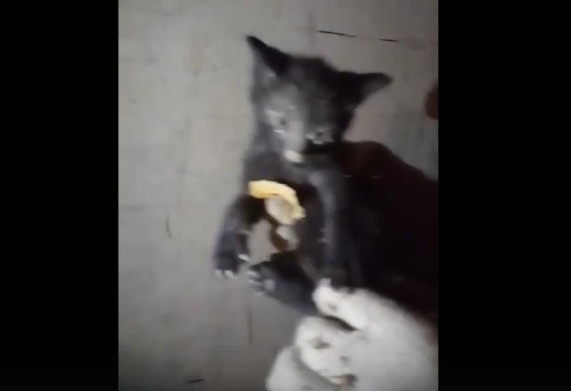 ��� ��� ������ ���� ����! � ������� ����� �������� ��������� ������� ��-�������� ���������