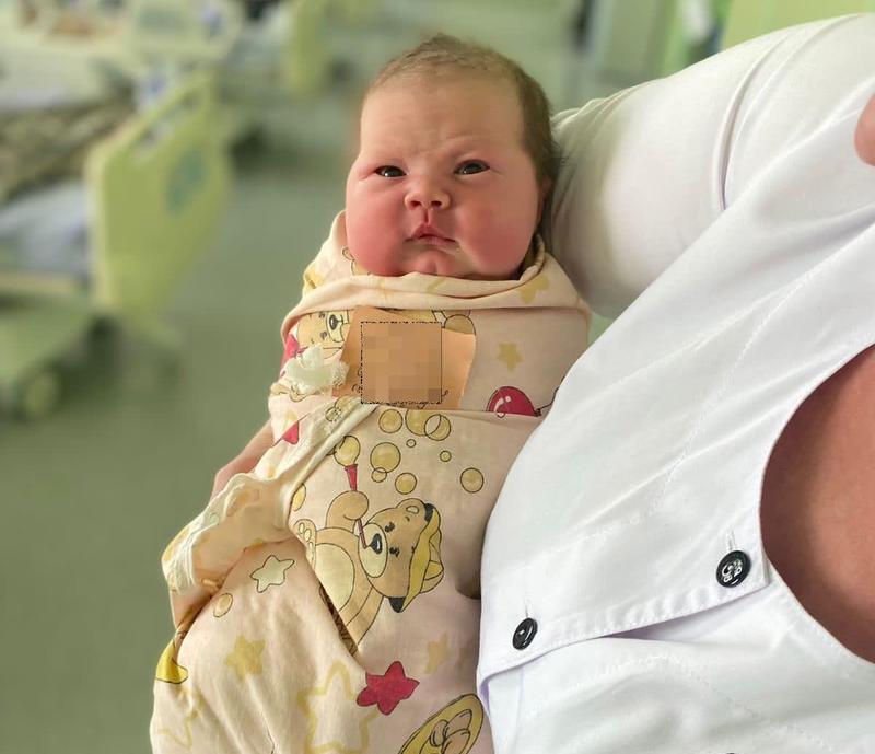 ���� ����������� �����: � ��������� ������� �������� �������-���������