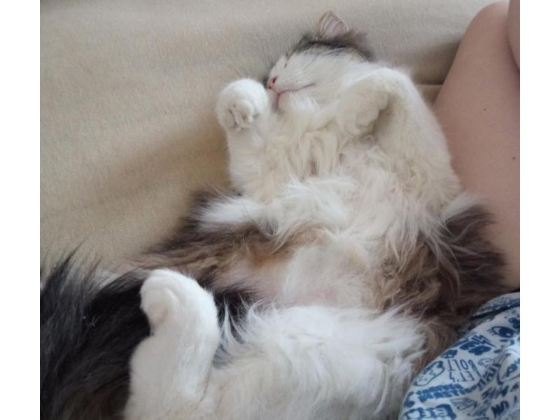 ������ �������� ����� � �������� � �����, ���������� ������ �������� � ��������