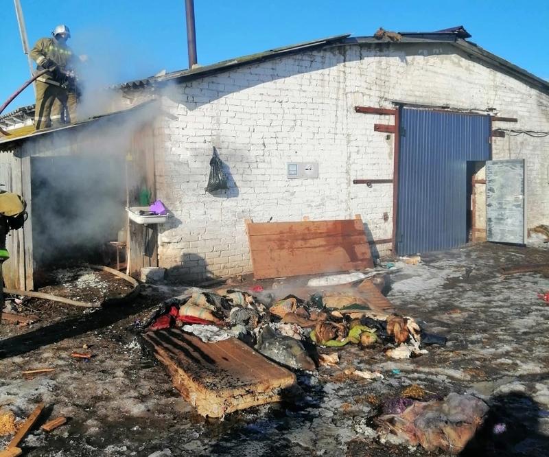 �����, ����������� �� ���������������� �����, ������ ������������ �� �������� ��������