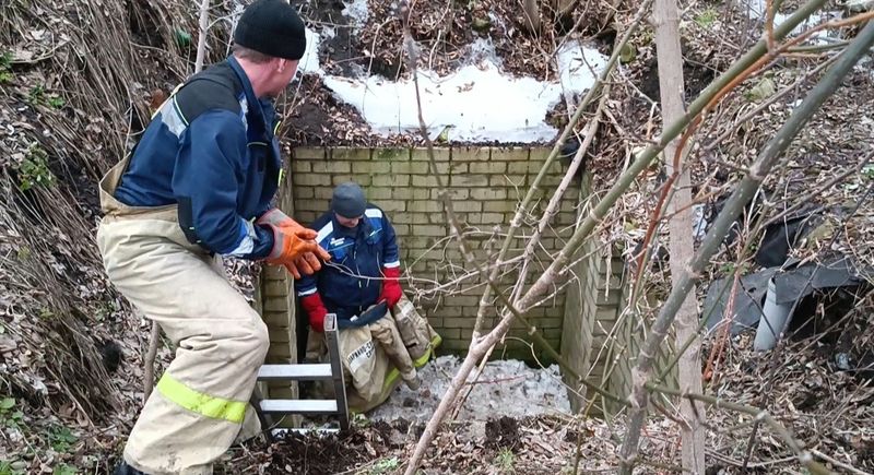 ��������� �������� ������, �� ���� �� �������� � ���� ������� �� ������ �� �������� ���� �������: �����