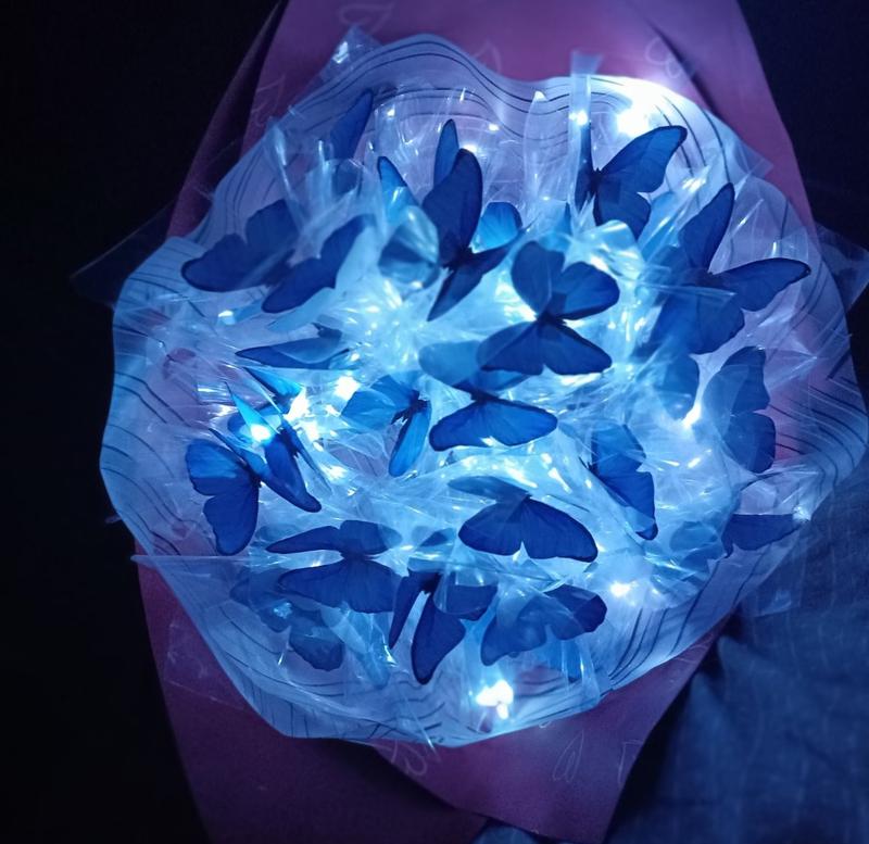 � ������� ��������� ����� ���� ������� ���������� ������ - ������ �� �������