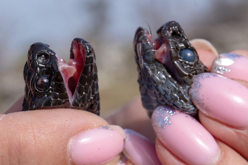 � ��������� ������� ���������� ������: � ��� ������ ����