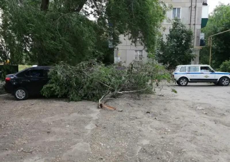 ���� �������������: ����� �������! � ������� �� �������� ����� ������� ����� ������