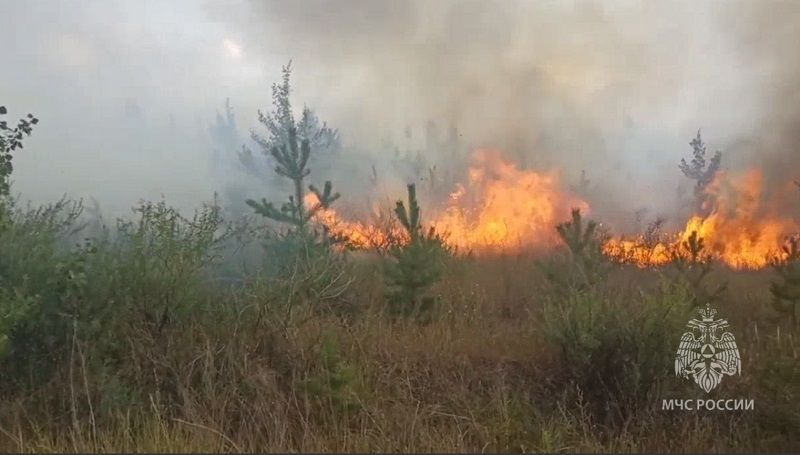 ����� ��� - � ������� ������������� ����� 300 �������, �������� ����� � ������ ������ ��������� ������������� ������