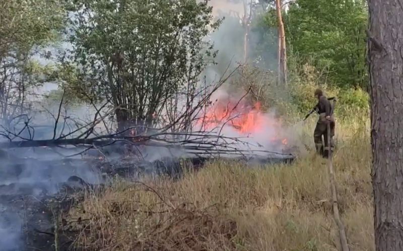 ������� ������ � �� � �������: ����� ������ � ���������������� ����, ����� ���� ������� ���� � ��������