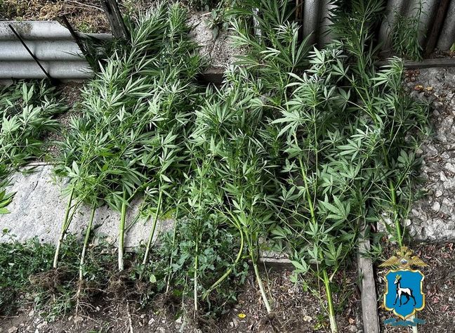 ��������� �� ��������� - ��� ��� ����: ��������� �� ���������� ������ �������� ����������, � ��� ������� �������