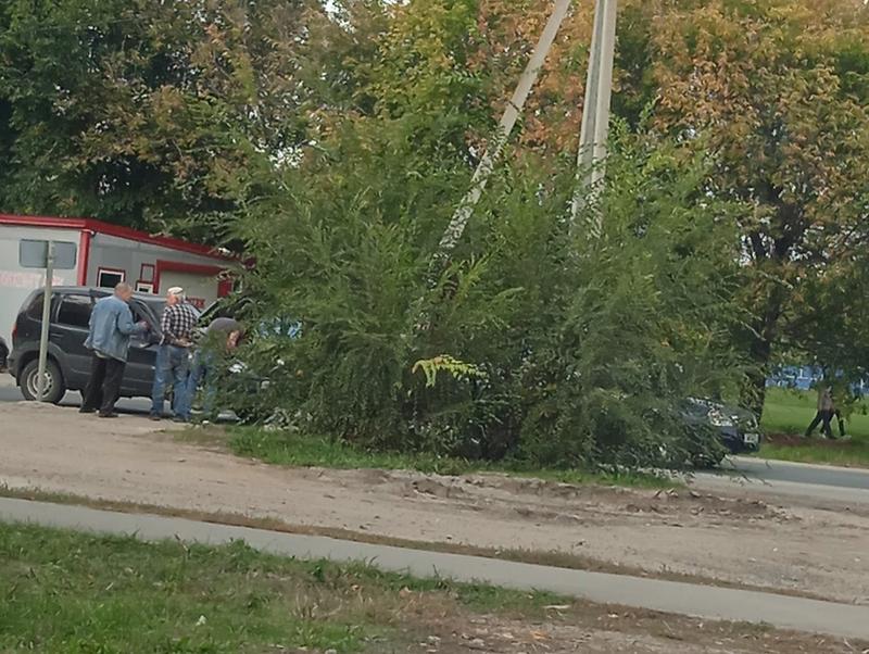 ������� �������� ������������ ���������� - � �������� � ������� ����������