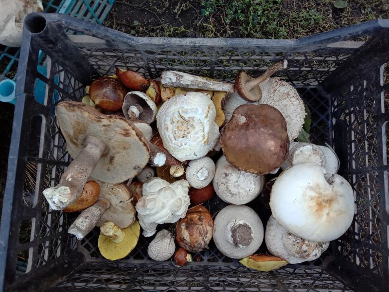 �������� ����� � ���������� � ���������� ��� �� ������, �������������, ��������� � ����������