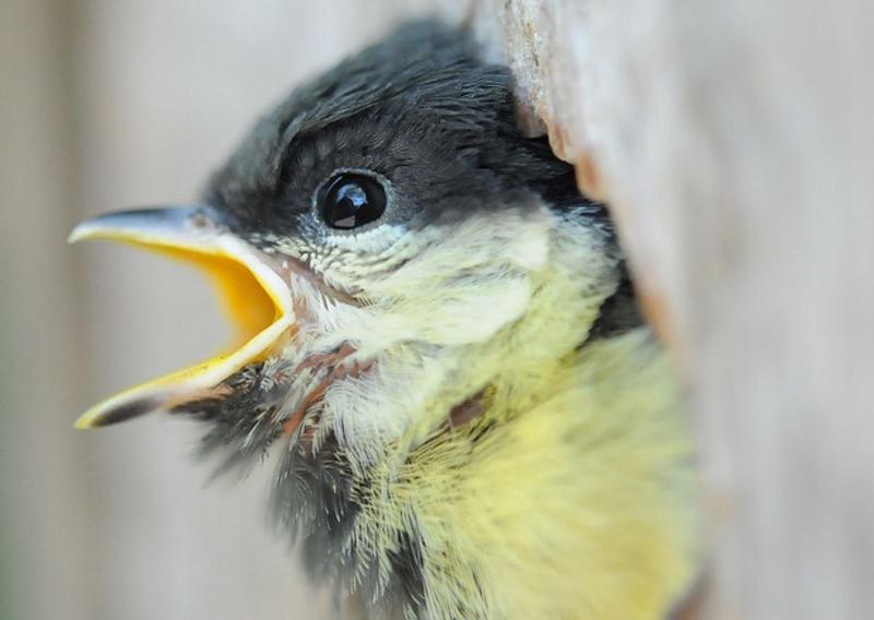 ������ ����� ������� ��������� ���� �� ����: ���������� ��������� ����� �������, ��� �������� ��������