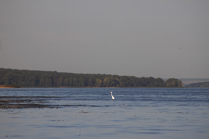 ��� ����� ������� ������� � ��� �� � ���� ������ ������ ������ � ����� �������� ���� ��������� ������