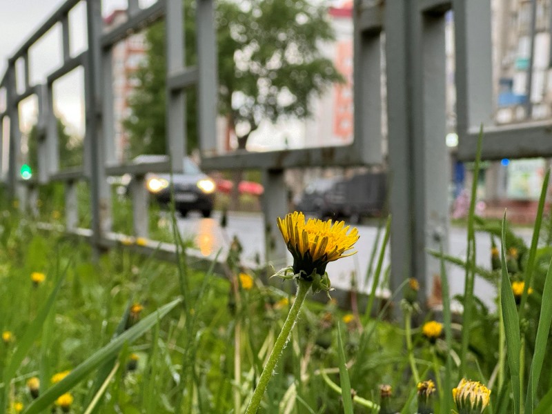 ������� �� ����� ����: ������� �� ����� ��������� ���� �����������, �� ������ ���