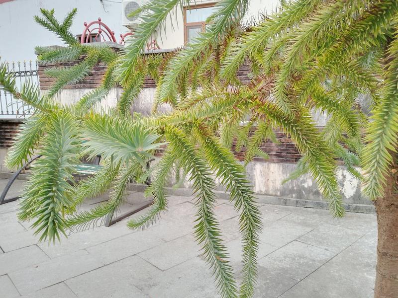 �����-������� �� ������� ��� ���: ������� ���� ��� ���� �������� ����, � ������� �� ��� �������