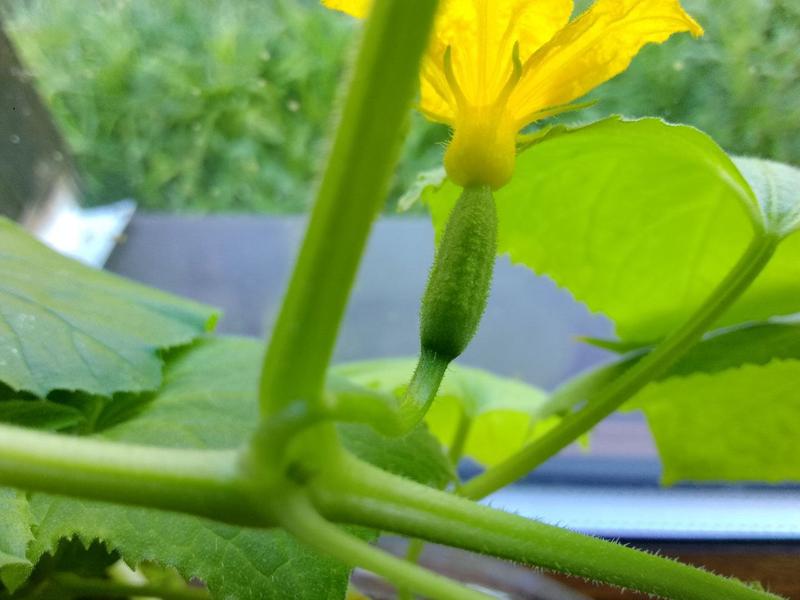 �������������, ��� � ����� ����? � ��������� ������� �������� ��������� ������� ���������