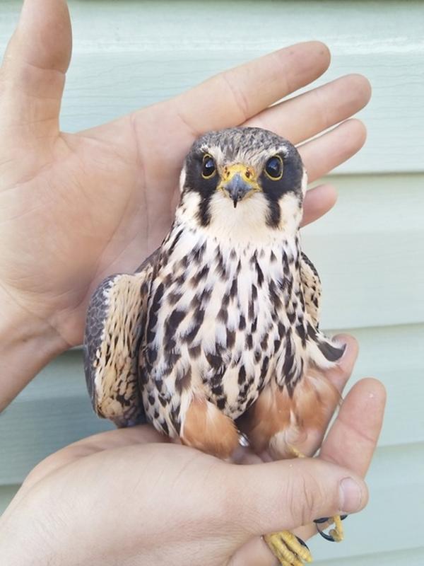 � ������� ������� �������� ������ ����� � ���� � �� �����, ����� ��� ��������