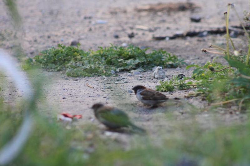 �� ��������� ������� ����������� �����: ������� �� ����� �������