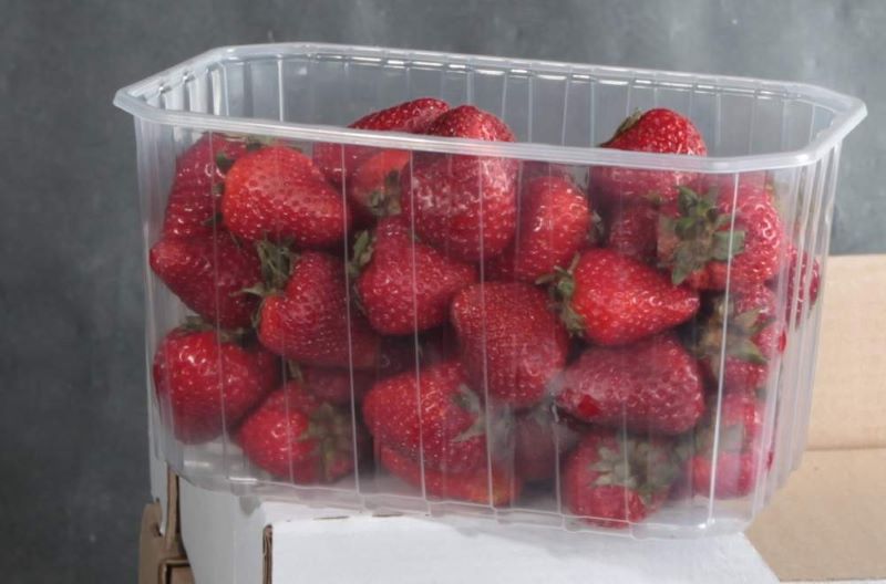 � �������� 4-������ ������� ����� �������� � ������