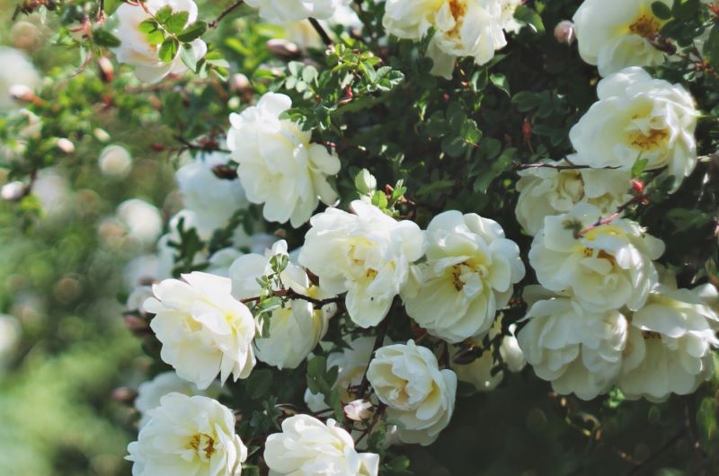 ���������� ���� ������������: ��� 6 ���� �������� ��������� � ����� - ������� � �������