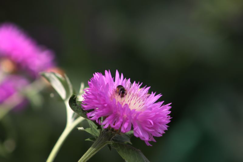 ������������ ����: ������� � ������� ��������� ���������, ����������� 7 ����