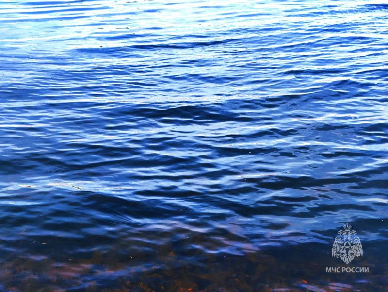 � ��������� ������� ����������� ���������� ����� �� ���� - ������ �������