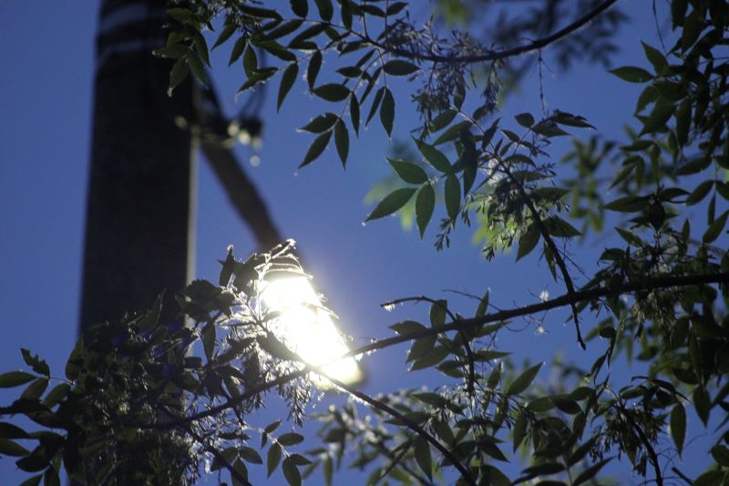 ��� ������� �������� �� ��������� ������ � ��������� ����