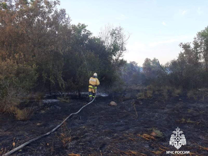 �������� �������� ������� ������ � ������������ ������ ���� ������