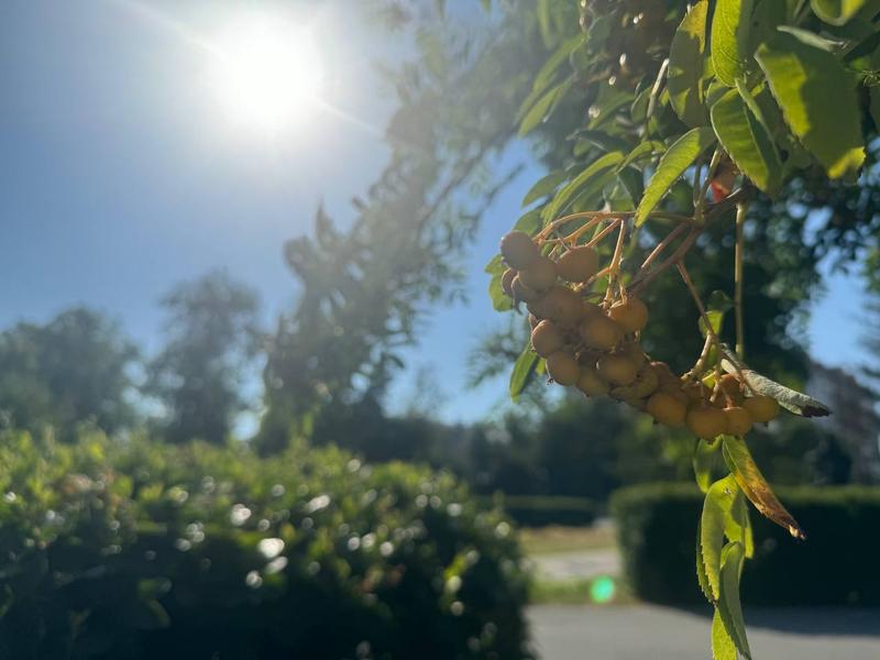 � ������� ���� ����� �� ����� �����