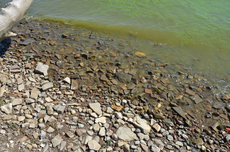 Сегодня нужно осторожно вести себя около реки или озера, и даже вода в стакане может испортить жизнь