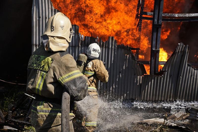 �������� ������ �������� 1000 ������ ����: ����������� ���� �������� ���� �� ������