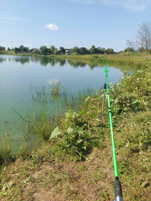 ����� ������������ ���, ��� ������� � ����, ��������� � �������