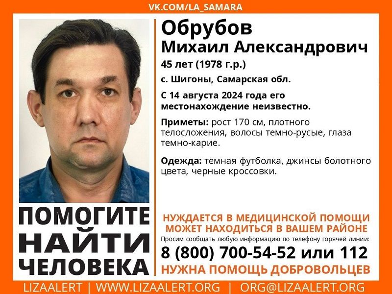 Пропавшего под Сызранью мужчину не могут найти уже две недели