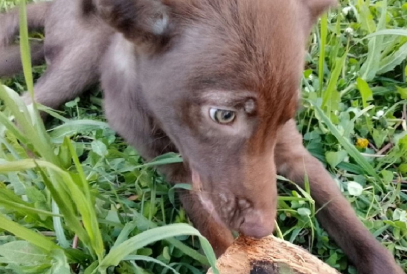 ���������� ���������� ���� ��������� �������, ��� �� ������� ������ � ����