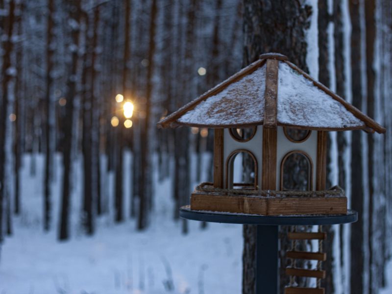 �� ������� ���� ���������, � ����� - ������